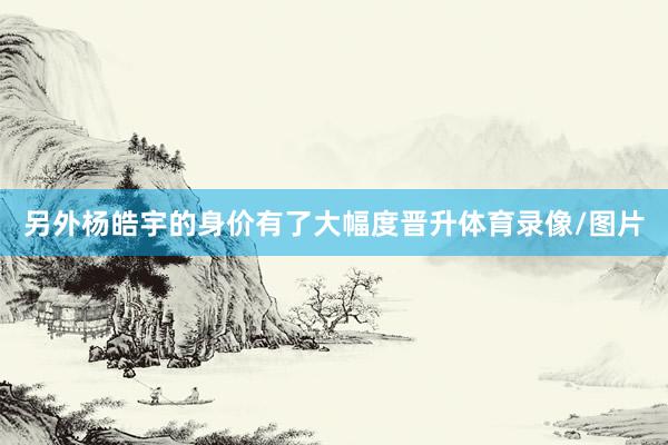 另外杨皓宇的身价有了大幅度晋升体育录像/图片