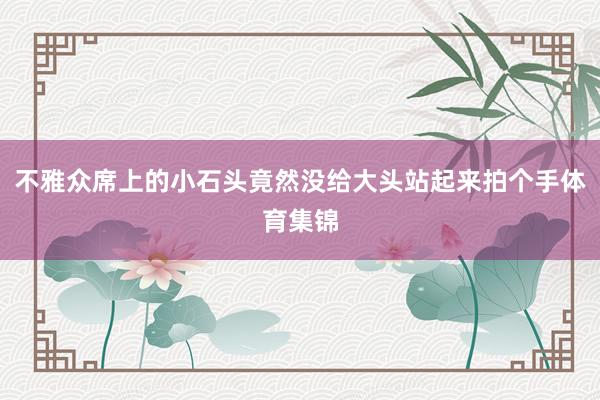 不雅众席上的小石头竟然没给大头站起来拍个手体育集锦