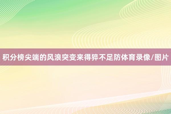 积分榜尖端的风浪突变来得猝不足防体育录像/图片
