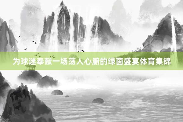 为球迷奉献一场荡人心腑的绿茵盛宴体育集锦