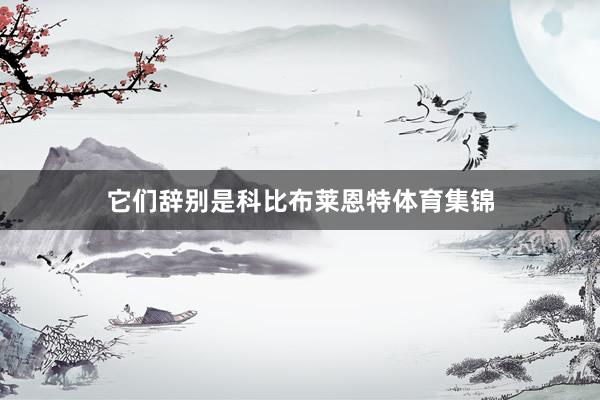 它们辞别是科比布莱恩特体育集锦