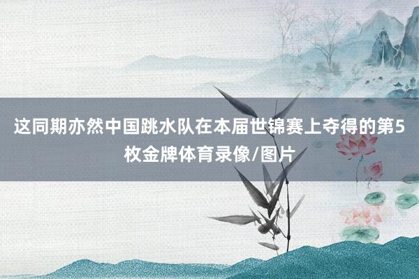 这同期亦然中国跳水队在本届世锦赛上夺得的第5枚金牌体育录像/图片