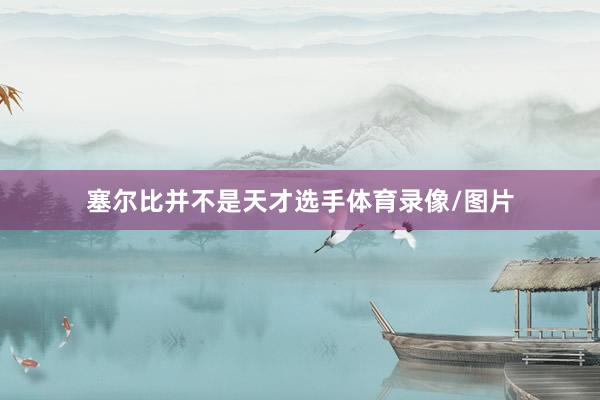 塞尔比并不是天才选手体育录像/图片