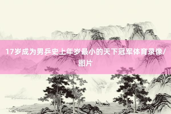 17岁成为男乒史上年岁最小的天下冠军体育录像/图片