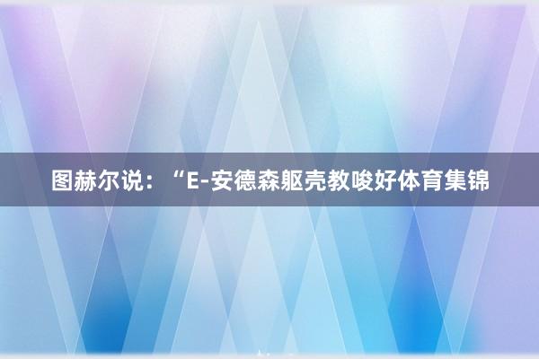 图赫尔说:“E-安德森躯壳教唆好体育集锦