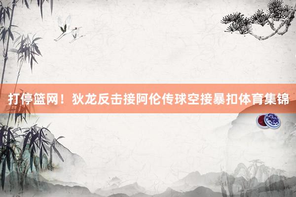 打停篮网！狄龙反击接阿伦传球空接暴扣体育集锦