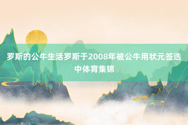 罗斯的公牛生活罗斯于2008年被公牛用状元签选中体育集锦