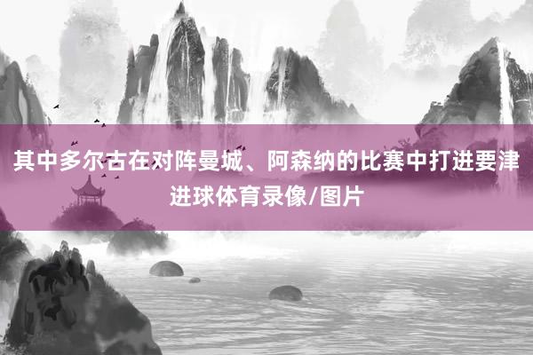 其中多尔古在对阵曼城、阿森纳的比赛中打进要津进球体育录像/图片