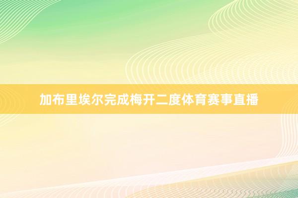 加布里埃尔完成梅开二度体育赛事直播