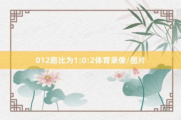 012路比为1:0:2体育录像/图片